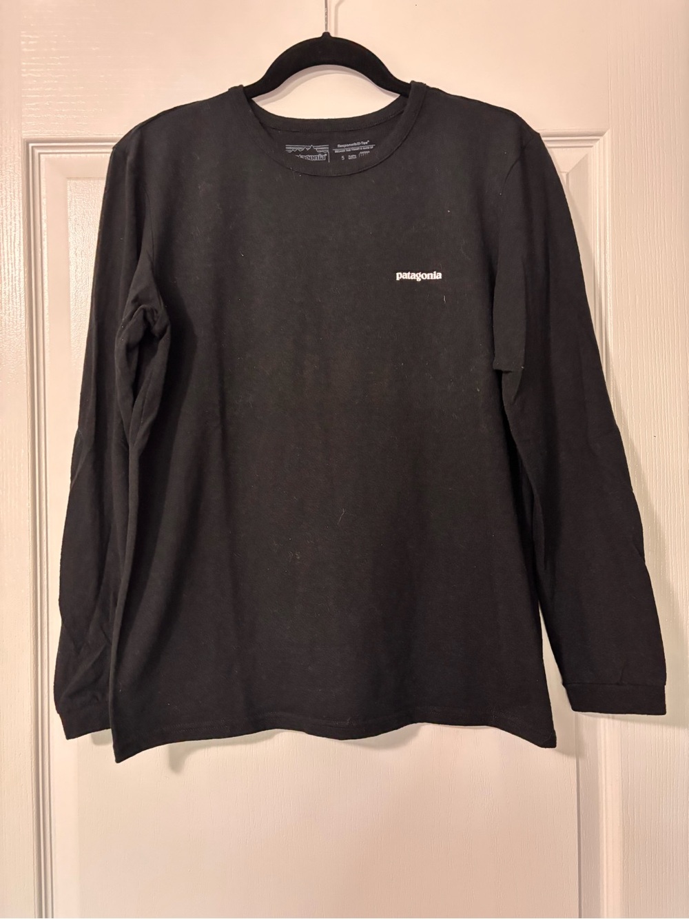 Patagonia Responsibili-tee